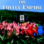 Lovitt Empire Comp